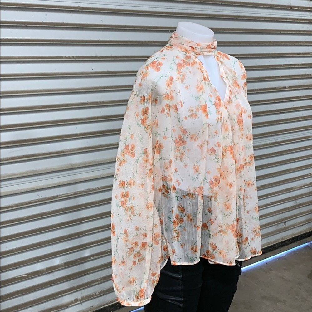 Zara Basic Collection size medium sheer floral top - image 6